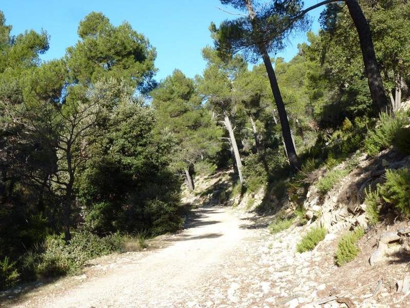 Rando Panorama à 360°