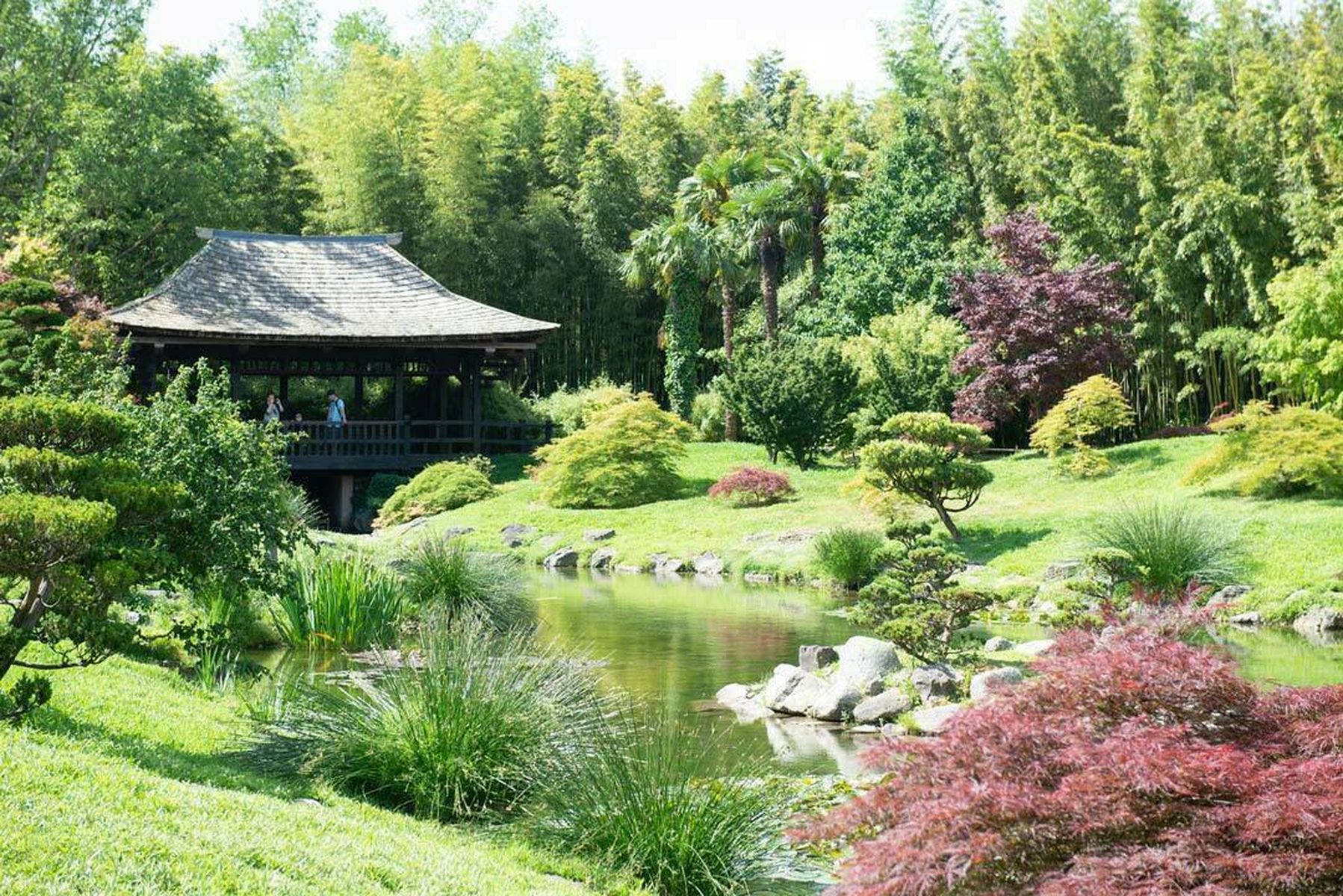 Conférence de Yann Arthus-Bertrand