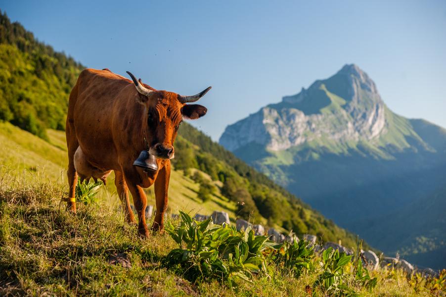 Massif des Bauges : nature préservée et traditions vivantes_Le Châtelard
