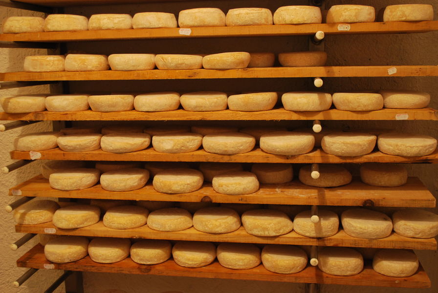 Fromage - Ferme du Petit Mont