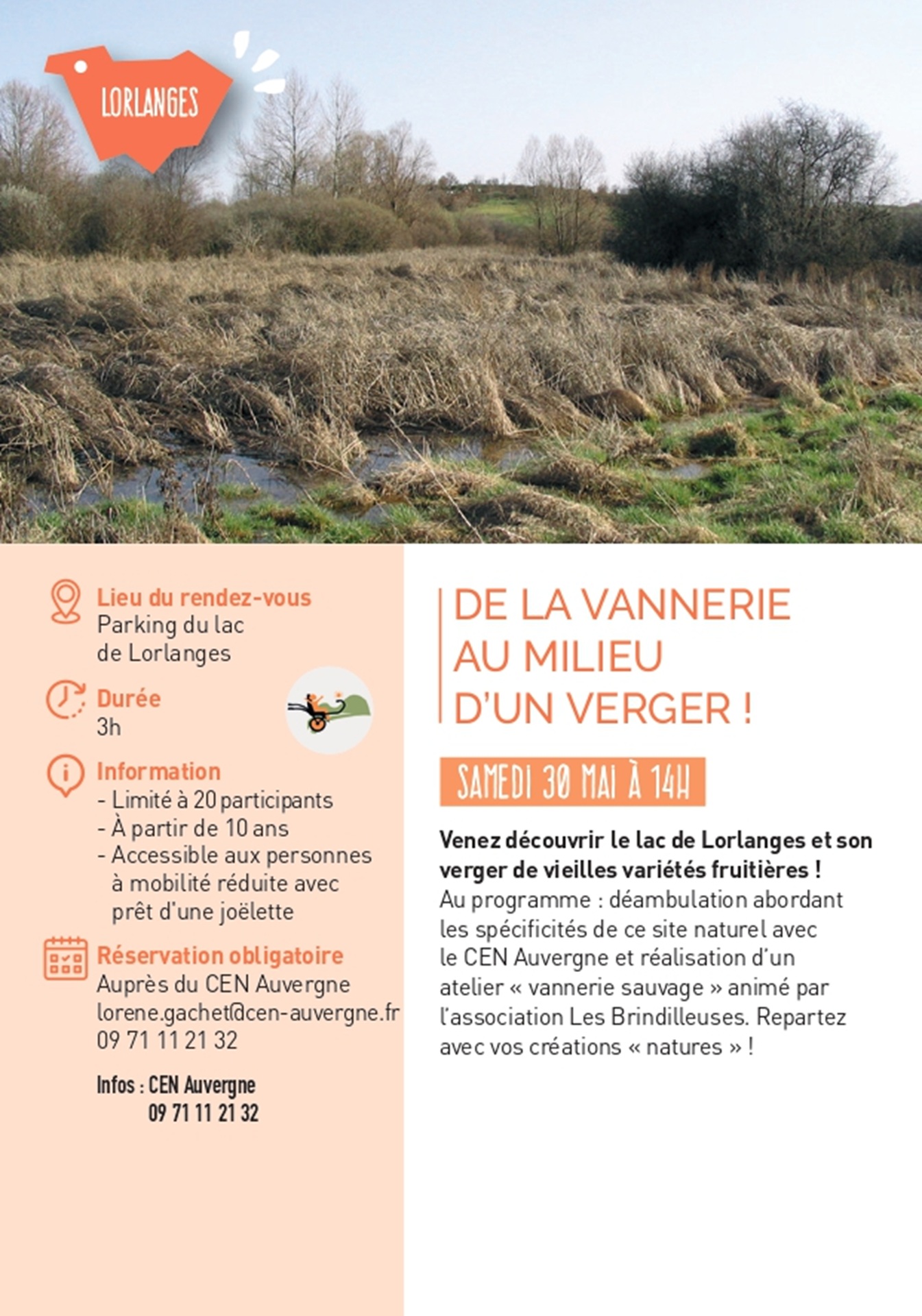 De la vannerie au milieu d'un verger