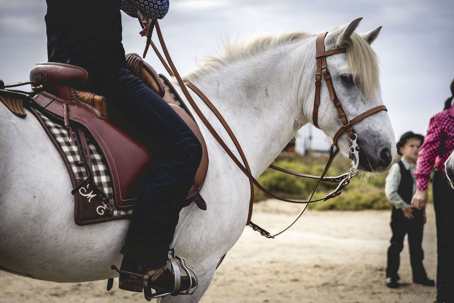 Journée pédagogique organisée par l’ACTE au Bouvau d’Aubanel