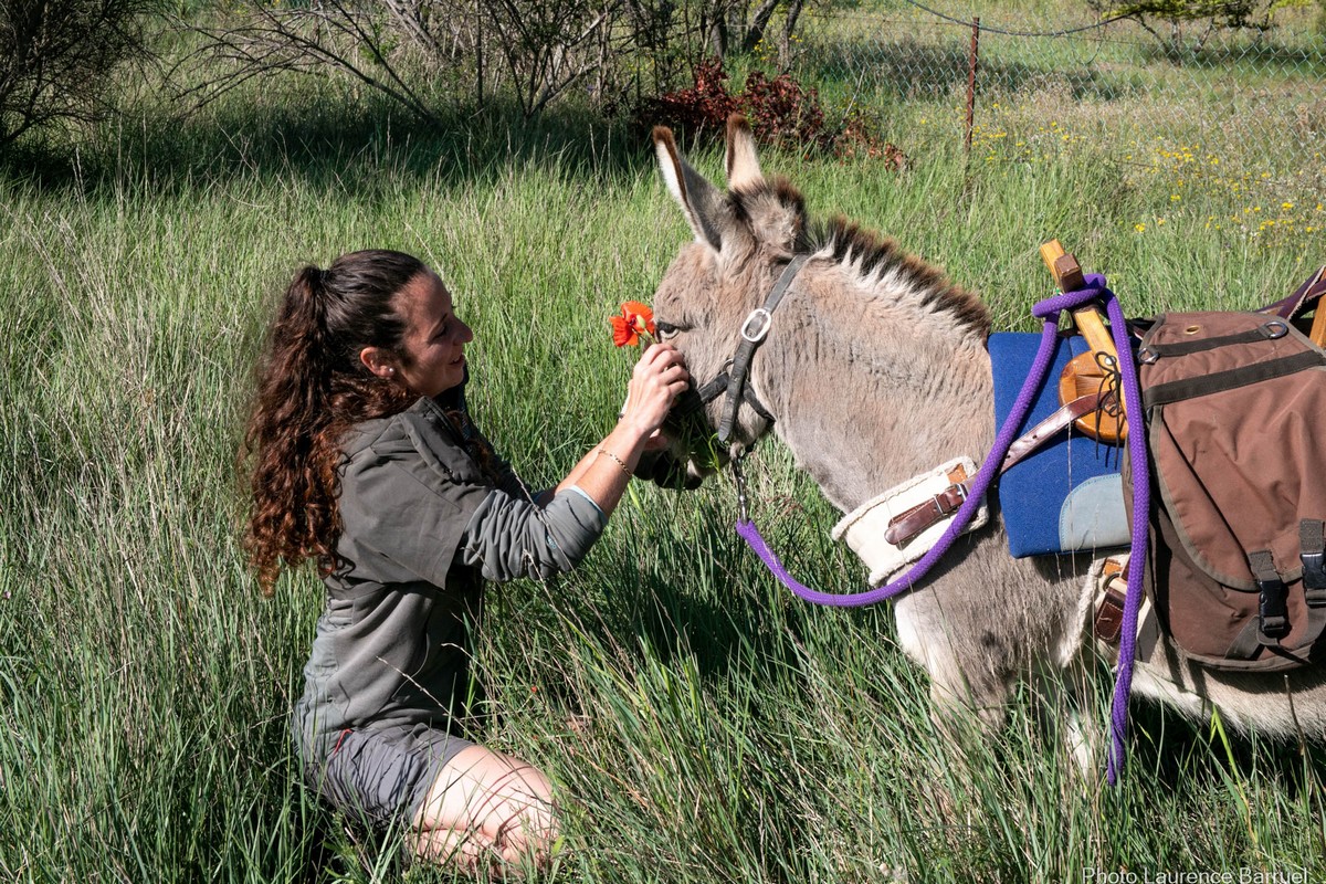 P'tits Ânes, Graveson - photo 2