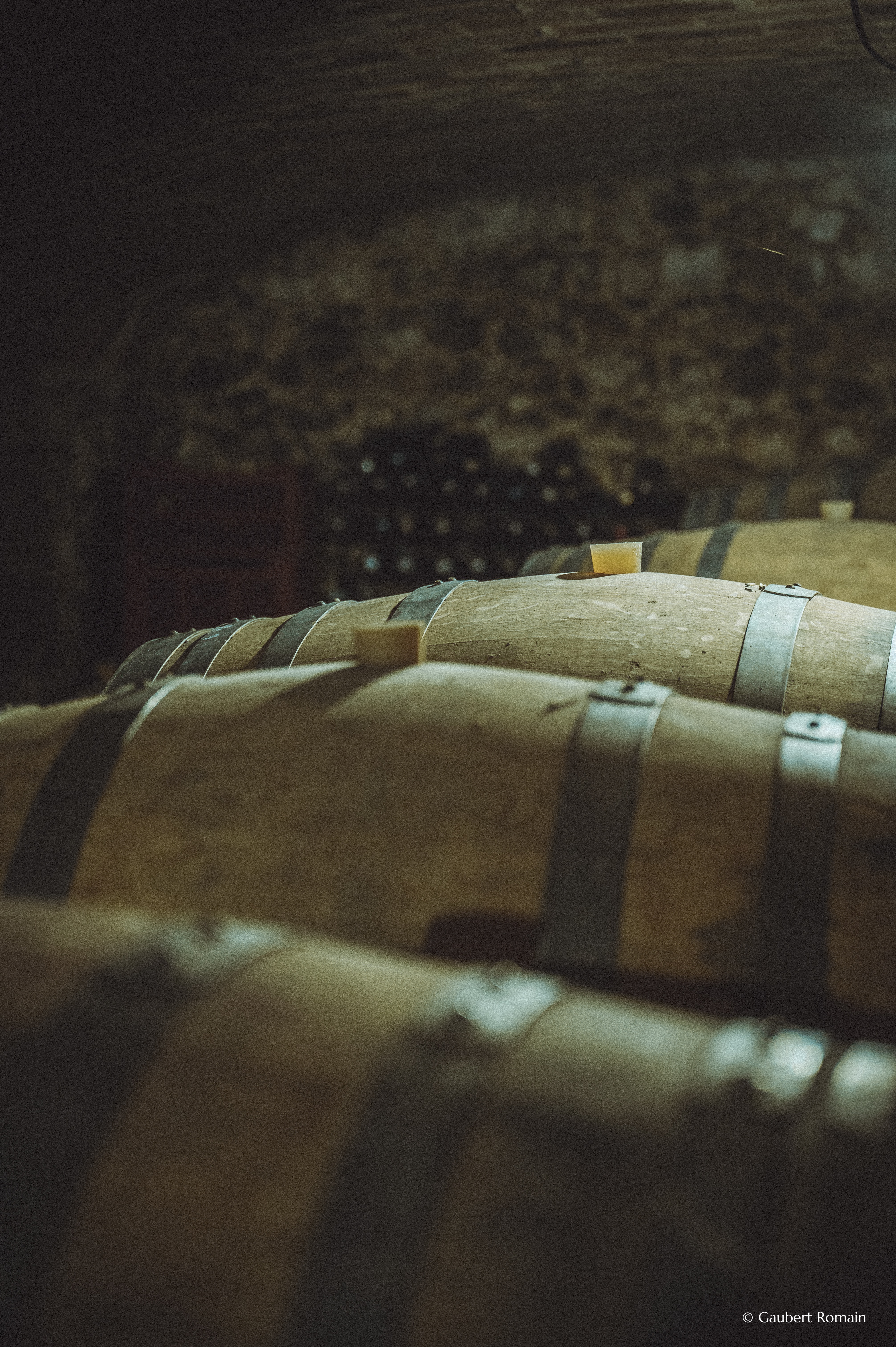 Domaine des Bardes_Eclassan