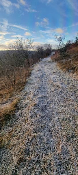 plateau de Vergongeat et du Moleron