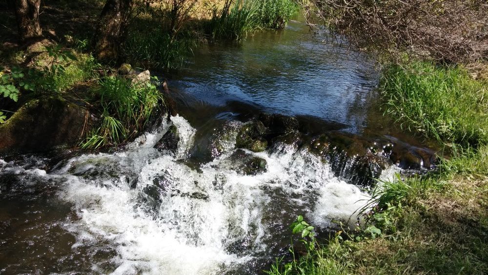 Petites cascades au Moulin de Record