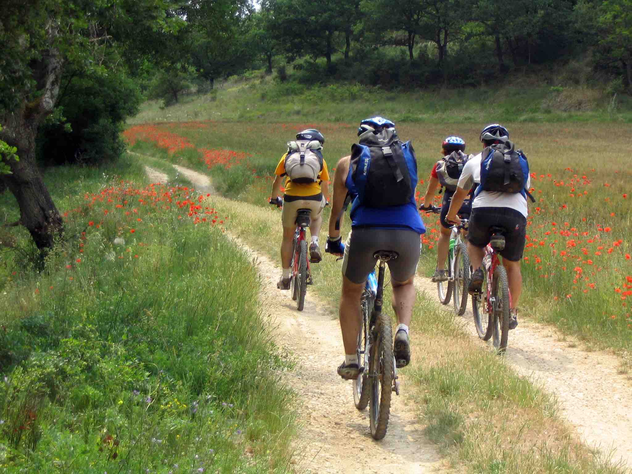 Les Trois Croix et le Fort du Télégraphe en VTT