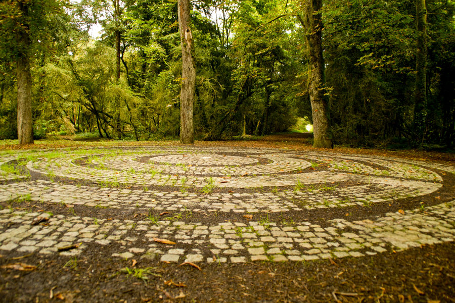 La Buxaie de Coudrée