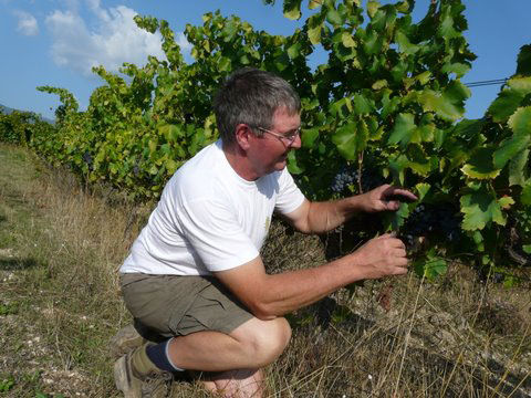 Domaine Les vadons Cucuron