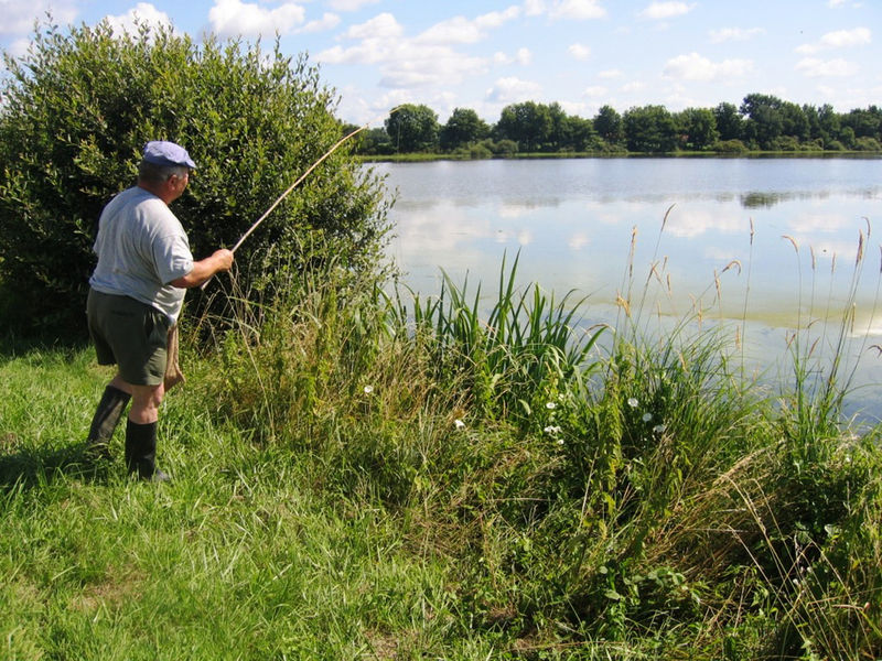 Pêche à la ligne