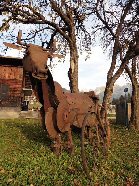 Art Vache : La vache allaitée