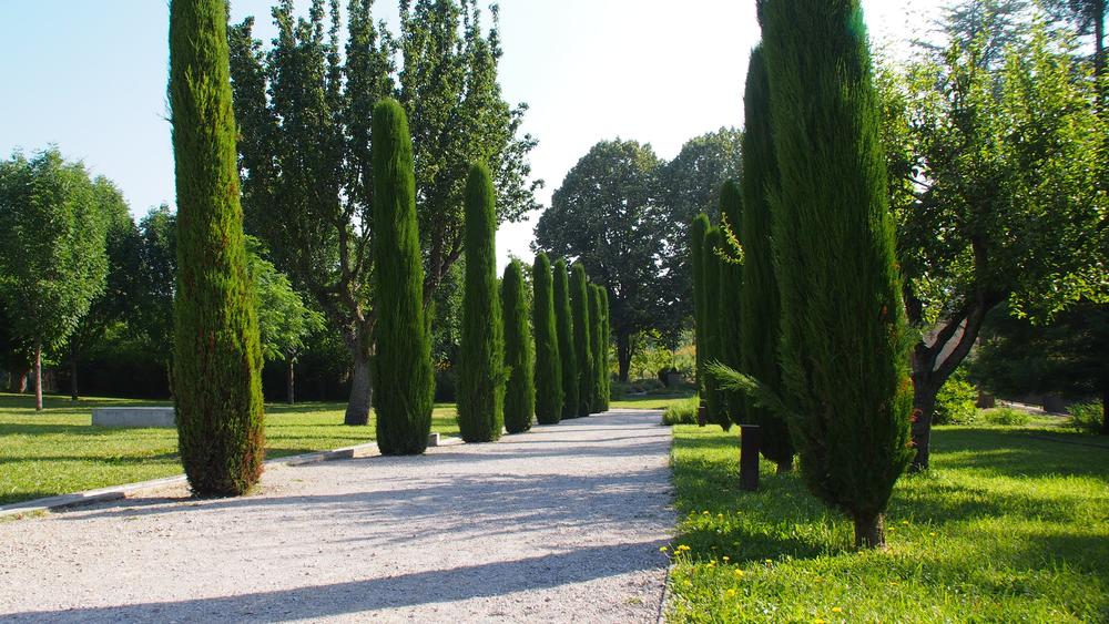 Jardin du couvent des Cordeliers
