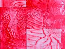 Exposition "Dynamiques du vivant : entre eau et lumière"_Fontanil-Cornillon
