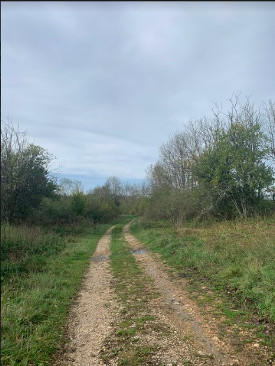 Chemin Chemin