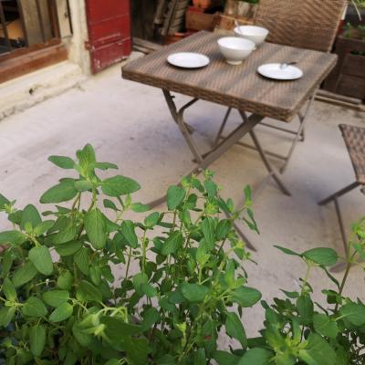 Le Clos des Ursulines, Arles - photo 14