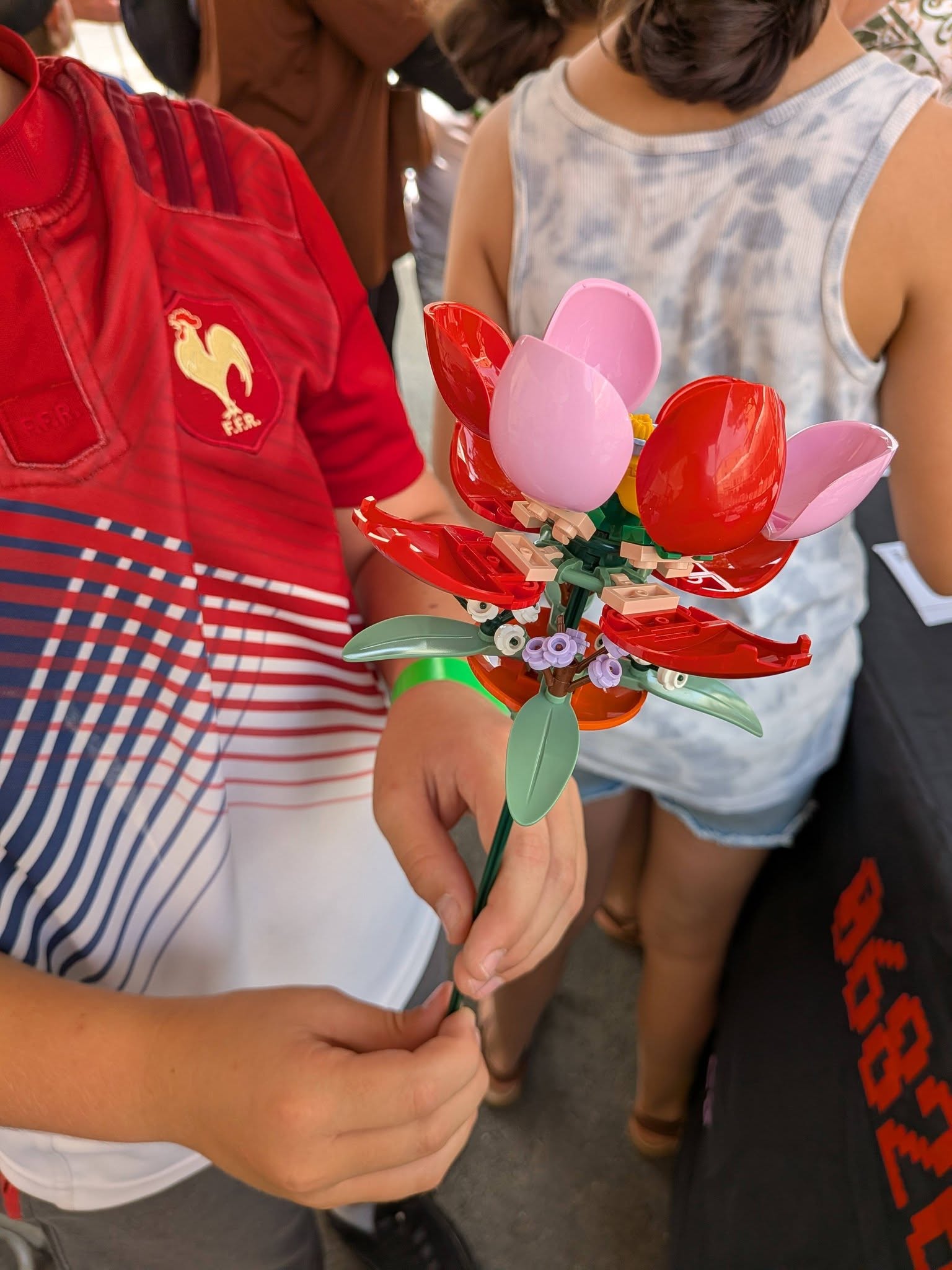 Ludi Briques — photo 2