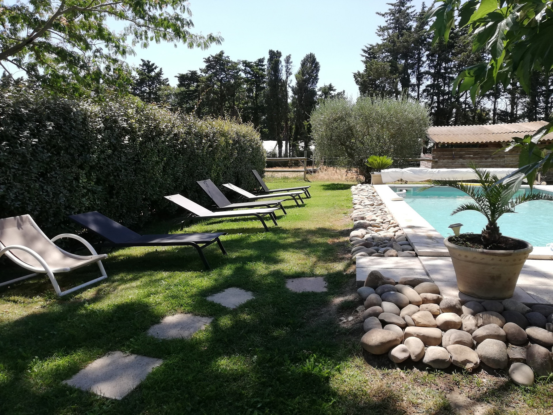 Le Lilou, Châteaurenard - photo 2