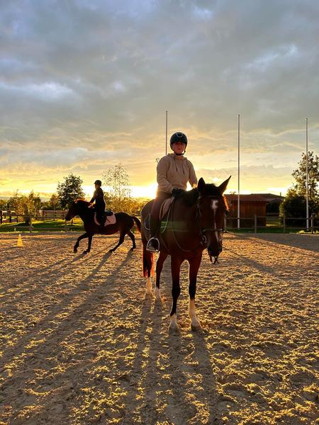Balades à cheval ou poney_L'Hôpital-le-Grand