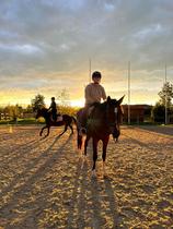 Balades à cheval ou poney_L'Hôpital-le-Grand
