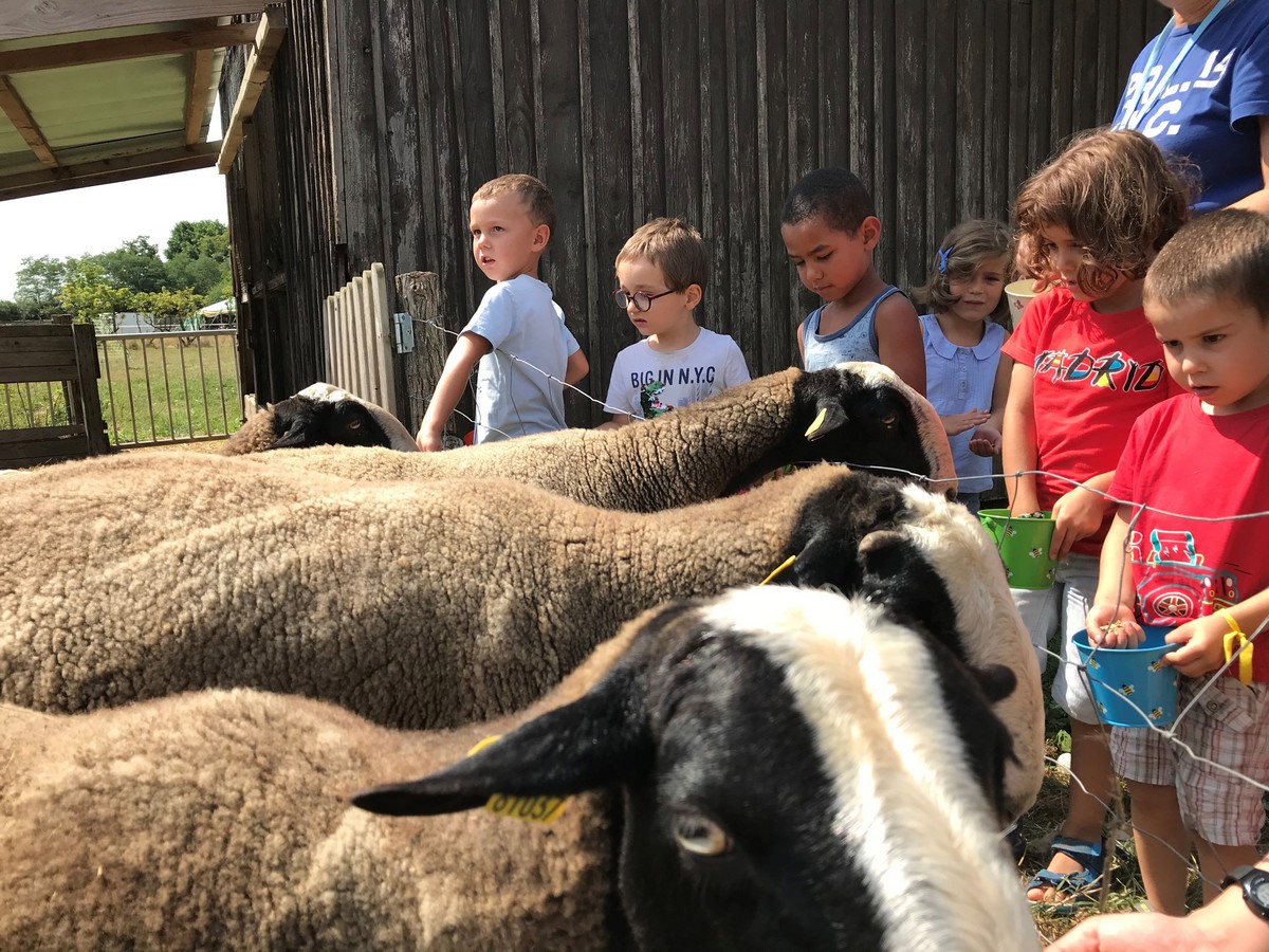 Visite de la ferme