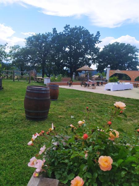 Espace vin d'honneur