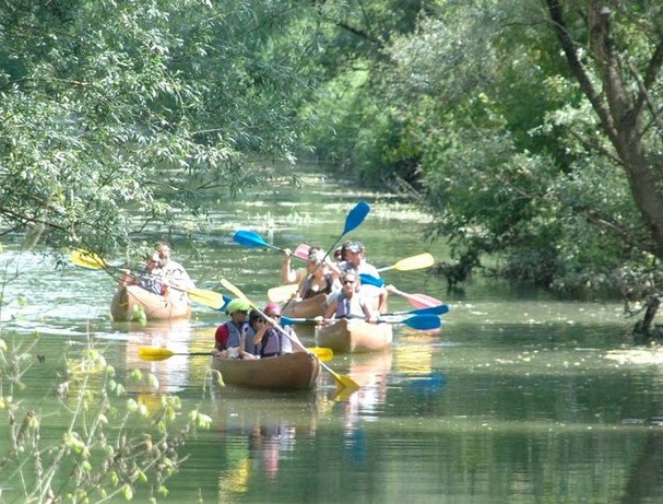 excursion kayak à la découverte de la biodiversité - Fête de la nature_Pont-de-Vaux
