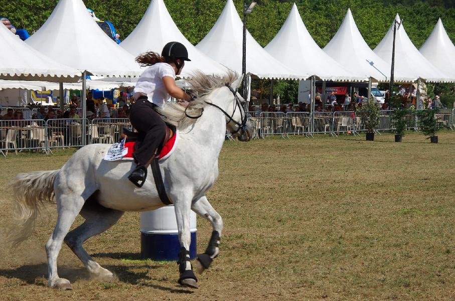 Fête du Cheval_Levens