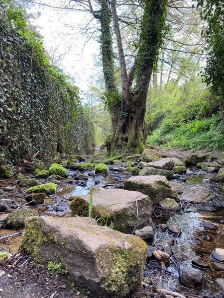 GR7 ® - La traversée de la Montagne Noire
