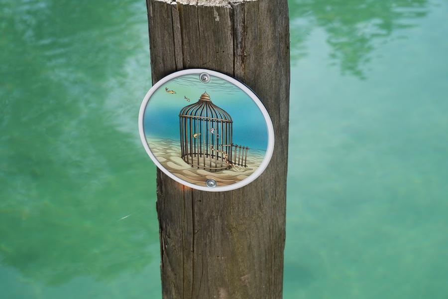 Balise du parcours d'orientation sur le lac d'Aiguebelette