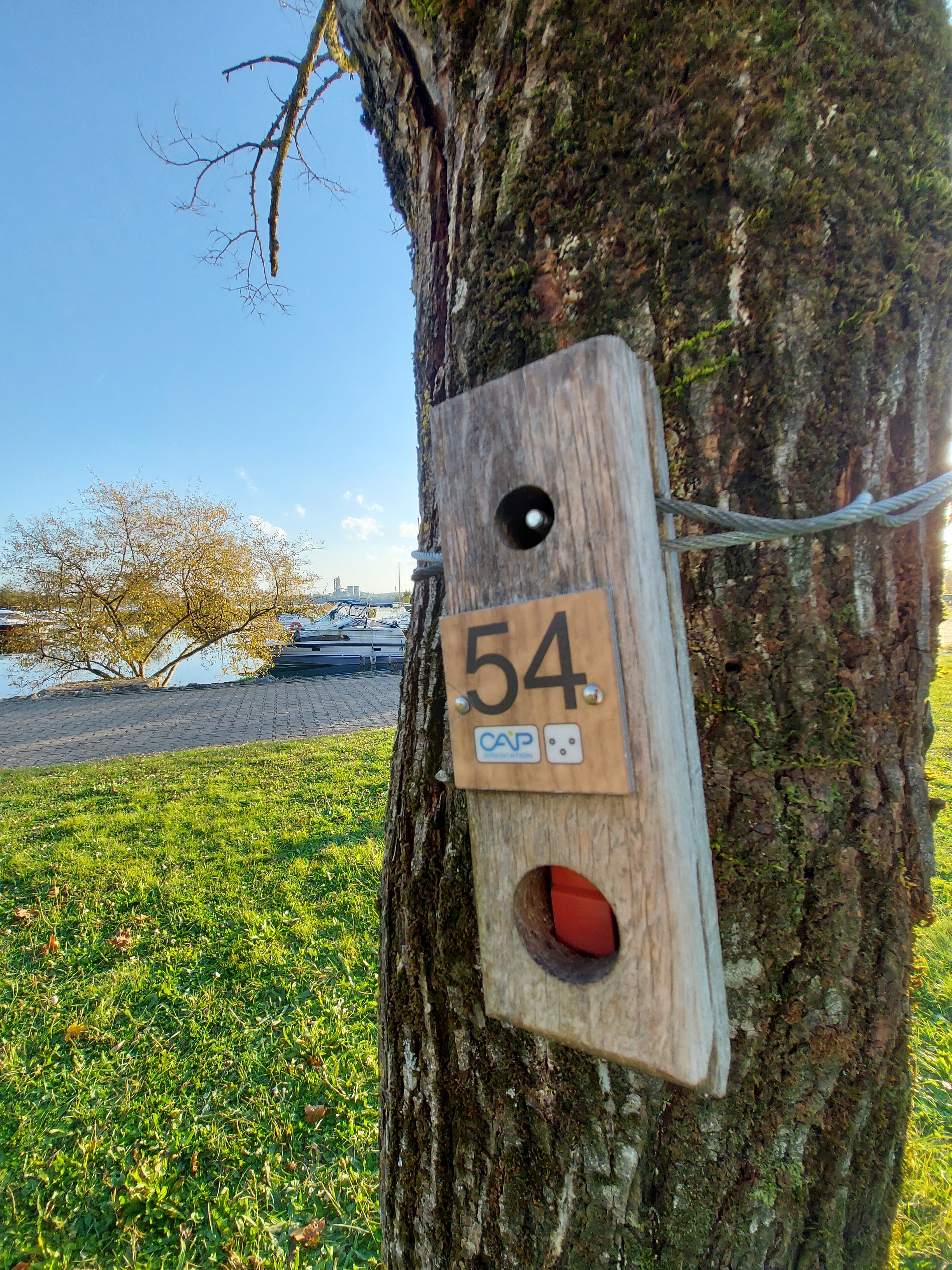 Parcours d'orientation adulte "bleu" - Vallée Bleue