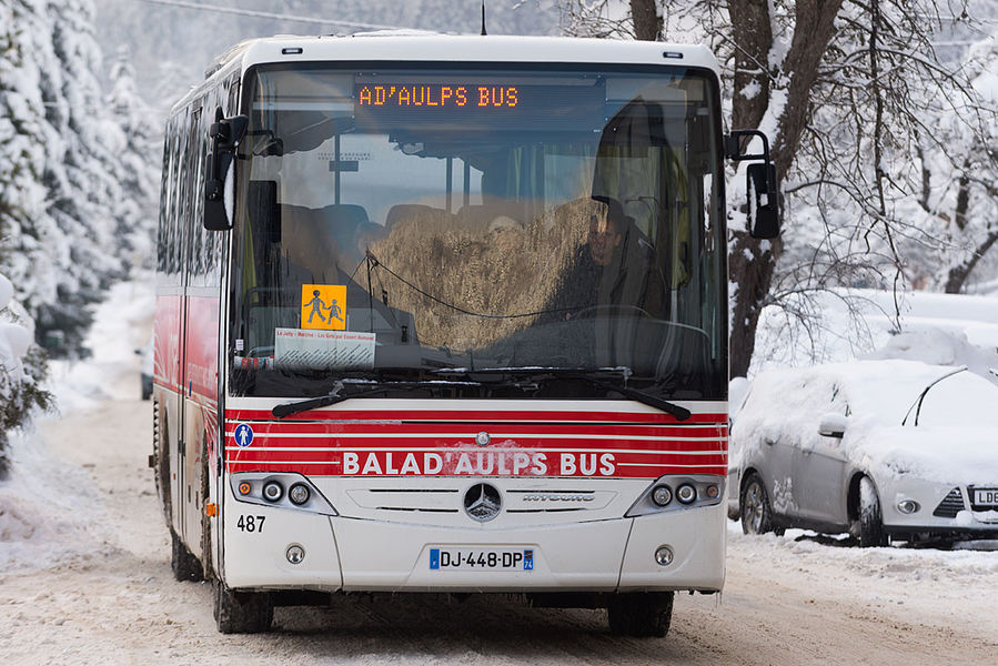 Baladaulps Bus