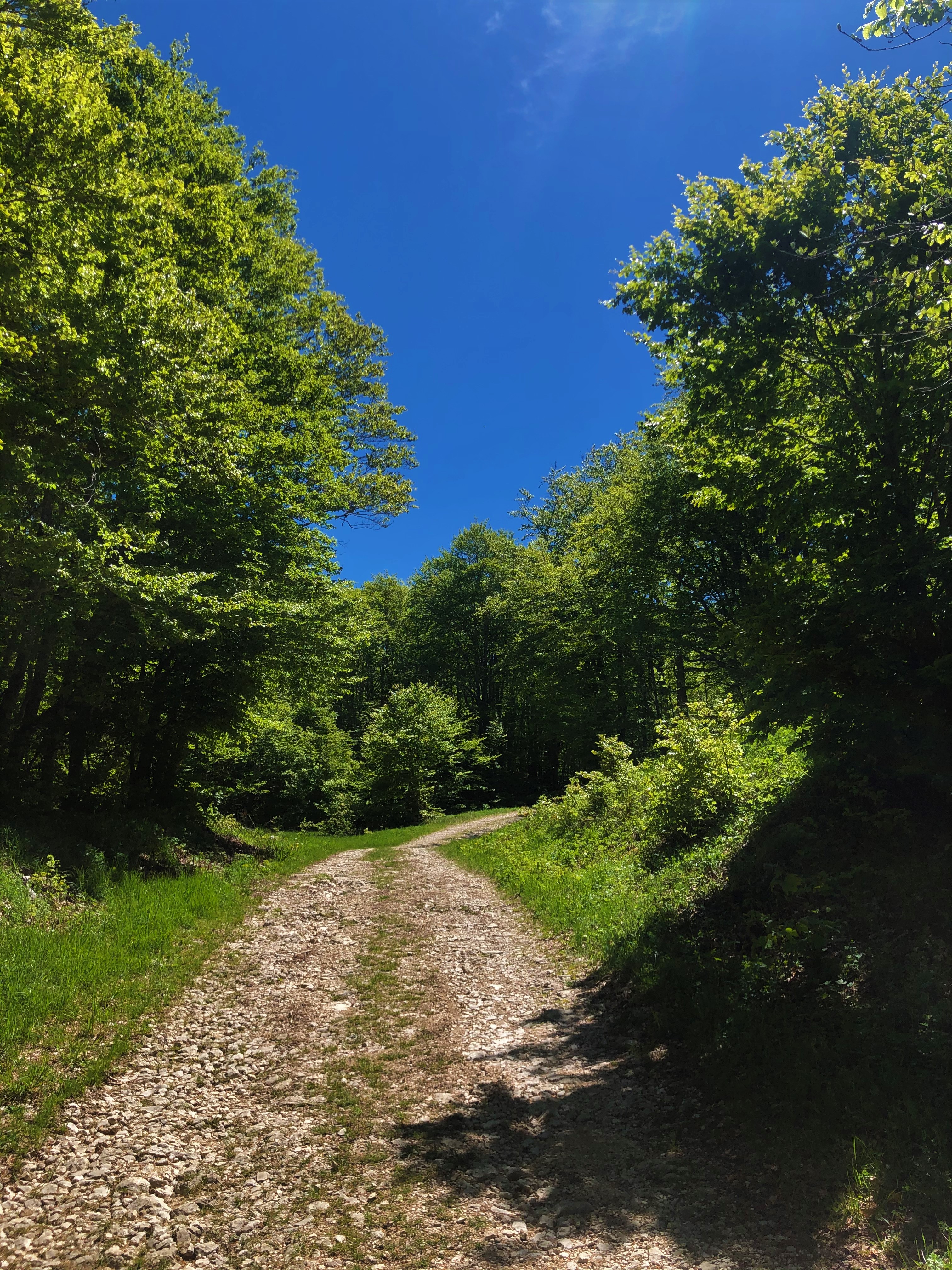 Parcours VTTAE 13 rouge - Le sud du Plateau de Retord - Espace FFC Ain Forestire