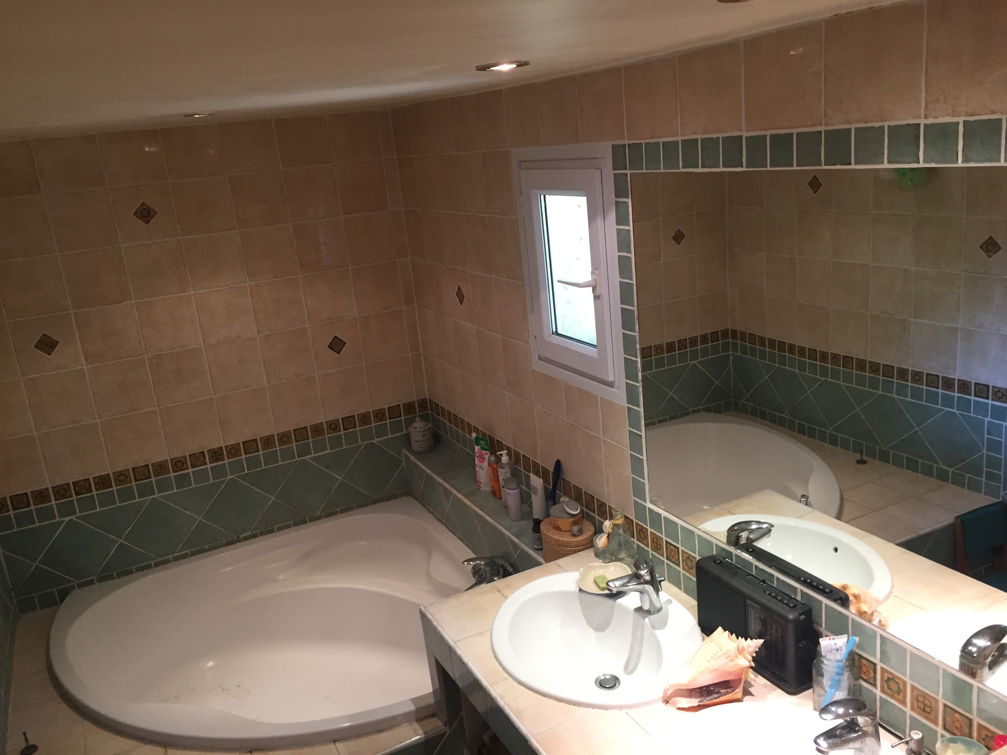 Ilot de verdure en bord de rivière, Pélissanne - photo 11