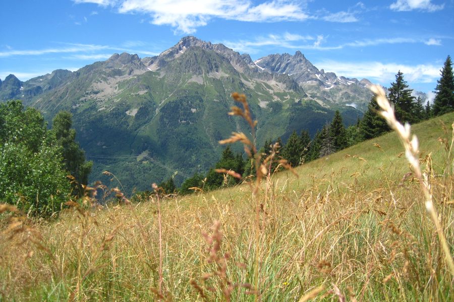Clairière du Pré de la Pierre