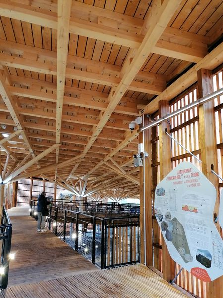 Dinoplagne® : canopée