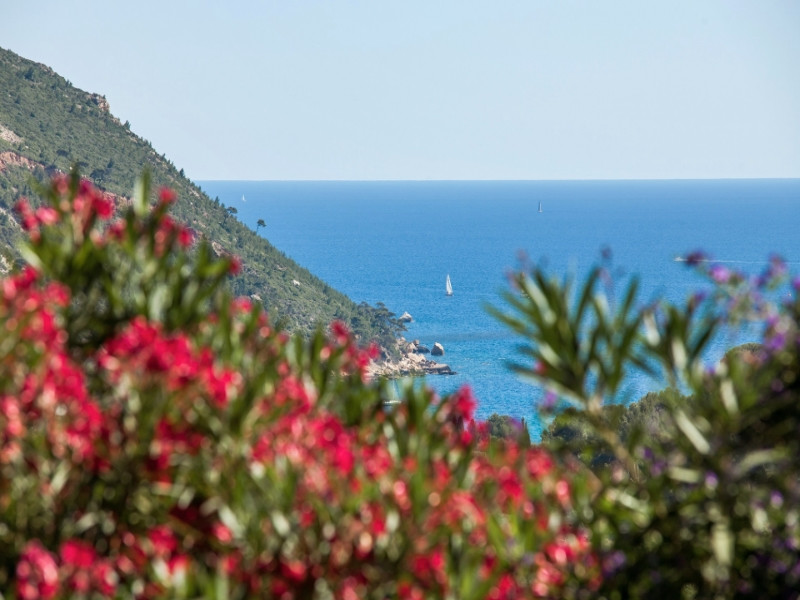 La Demeure Insoupçonnée, Cassis - photo 6