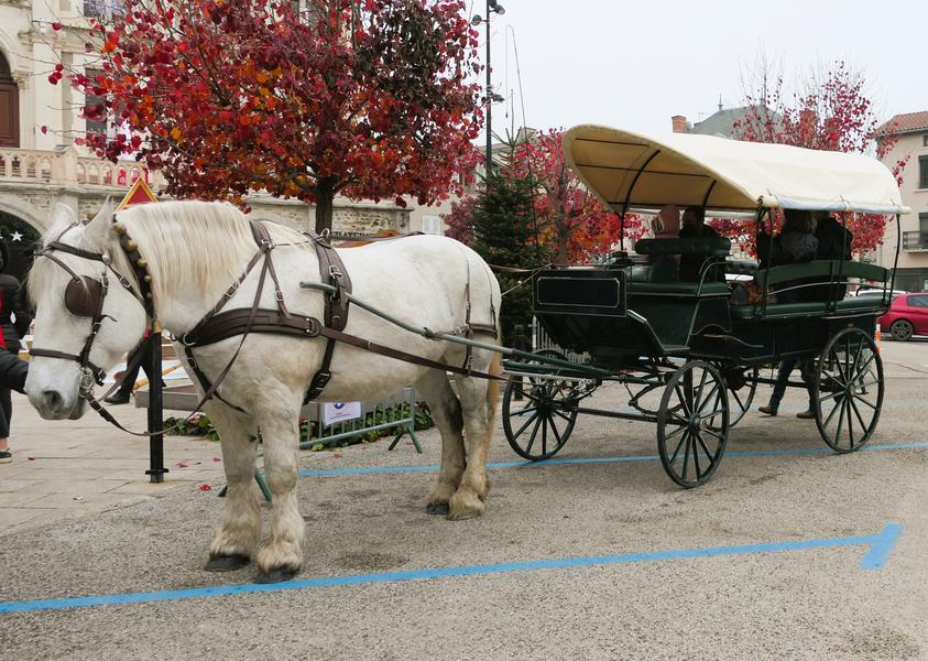 Tours en calèche_Saint-Galmier