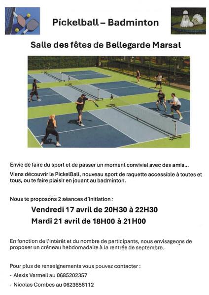 Pickelball - Badminton