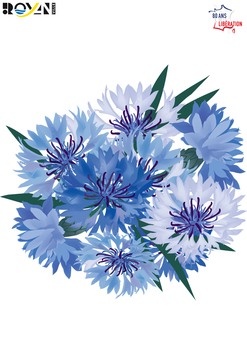 Fête de la Victoire de 1945 et quête du Bleuet de France