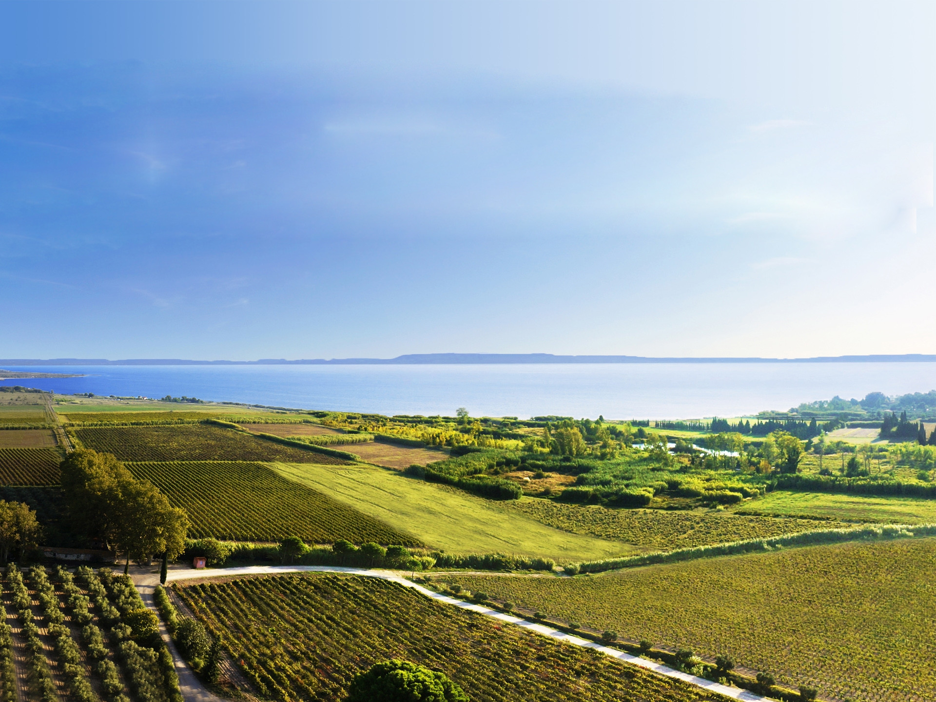 Le vignoble de l'Etang, un vignoble des contrastes
