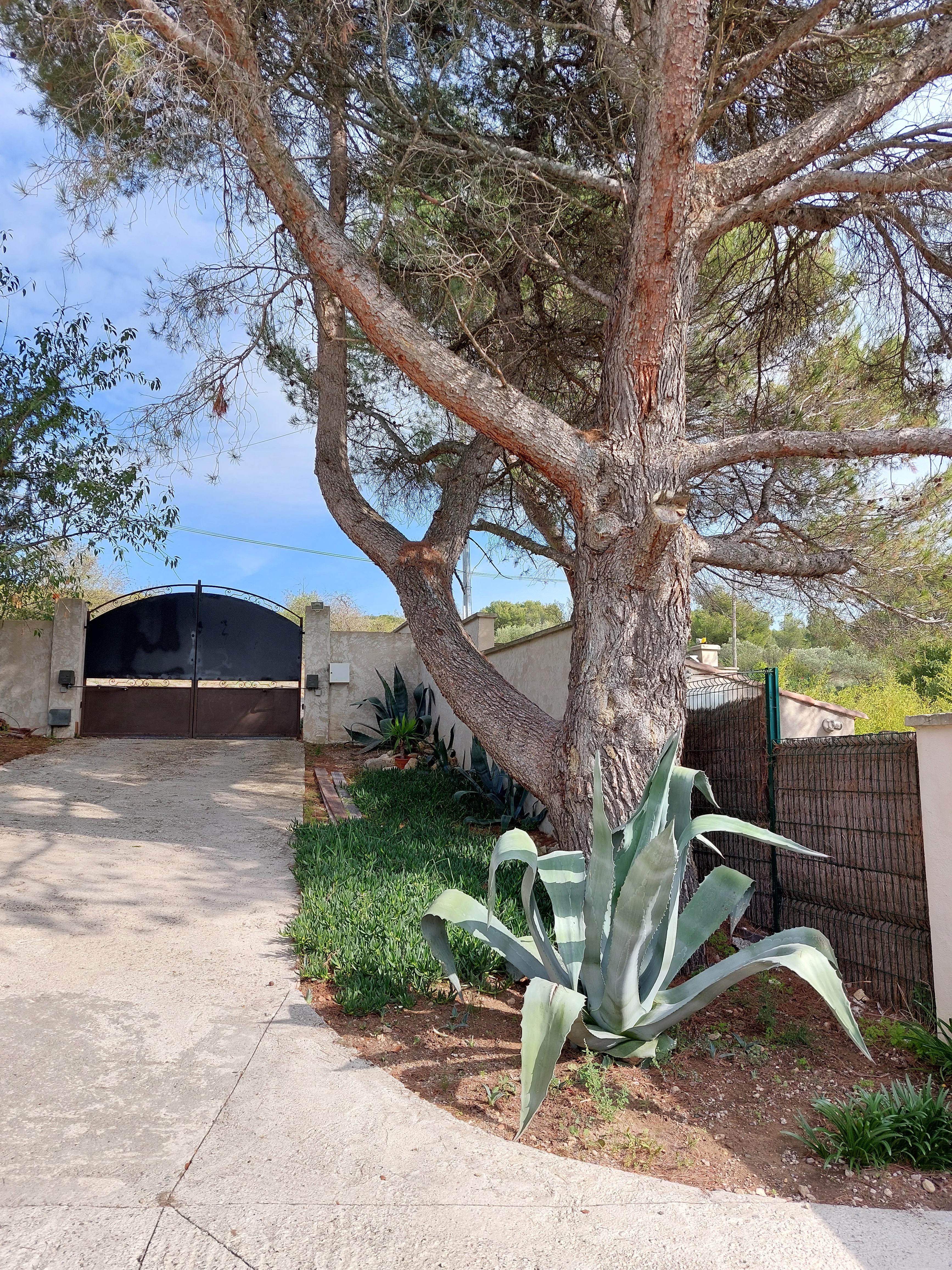 La Micocoule, La Barben - photo 2