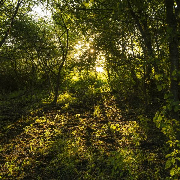 ENS Marais de la Besseye