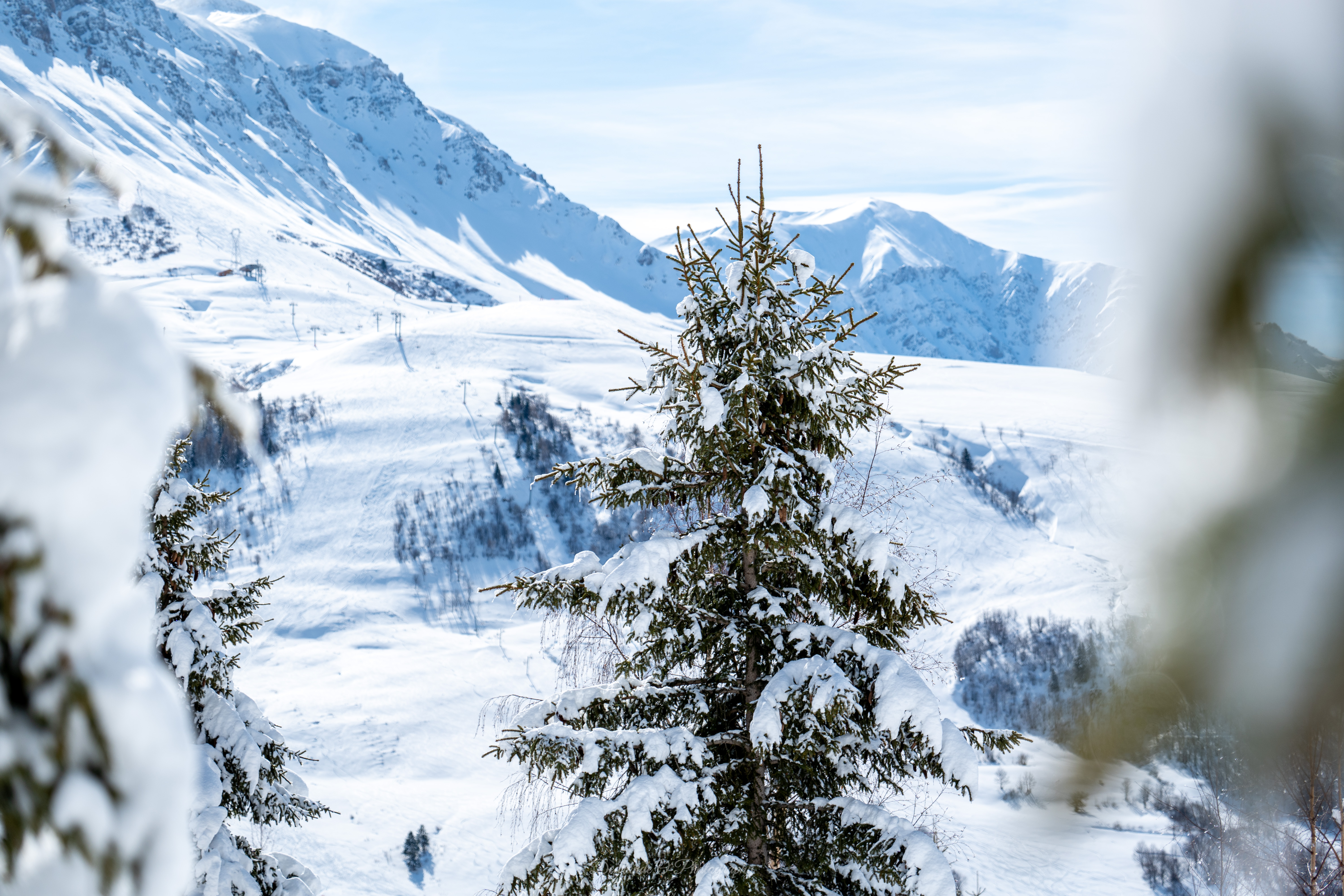 Snowshoe hiking The slopes of Bonvillard