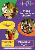 42173565 fiche