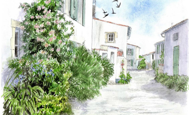 Atelier découverte du croquis naturaliste