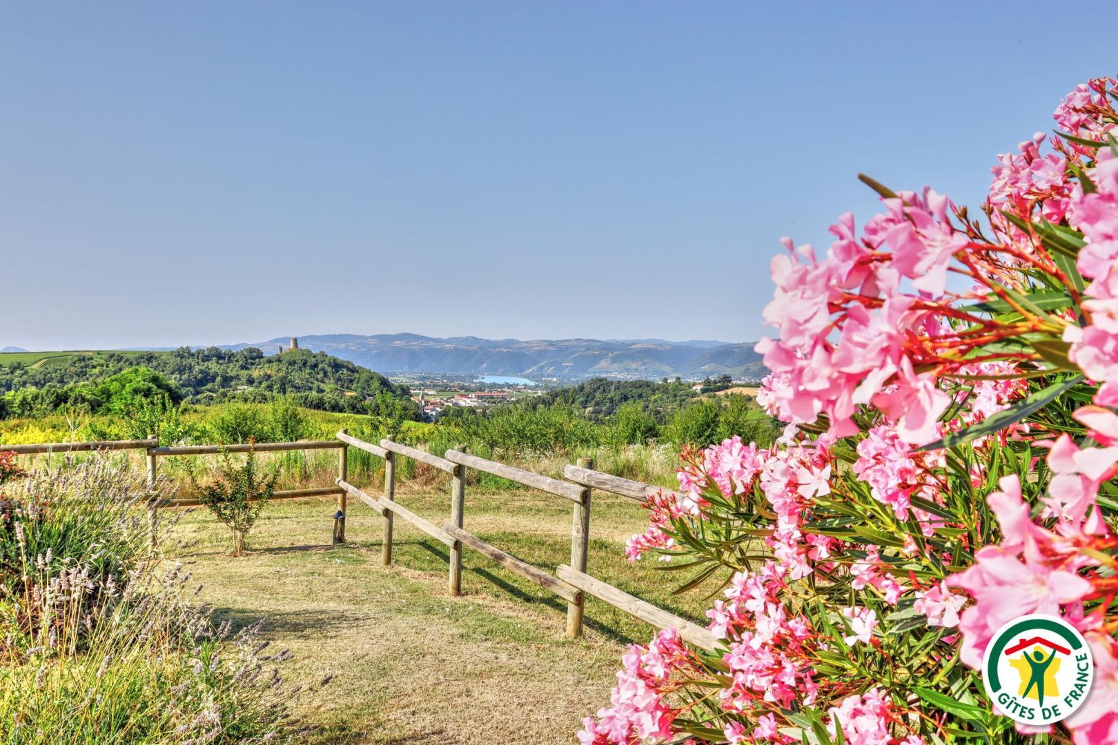 vue sur la tour de Mercurol, les vignobles de Tain l'Hermitage et la vallée du Rhône