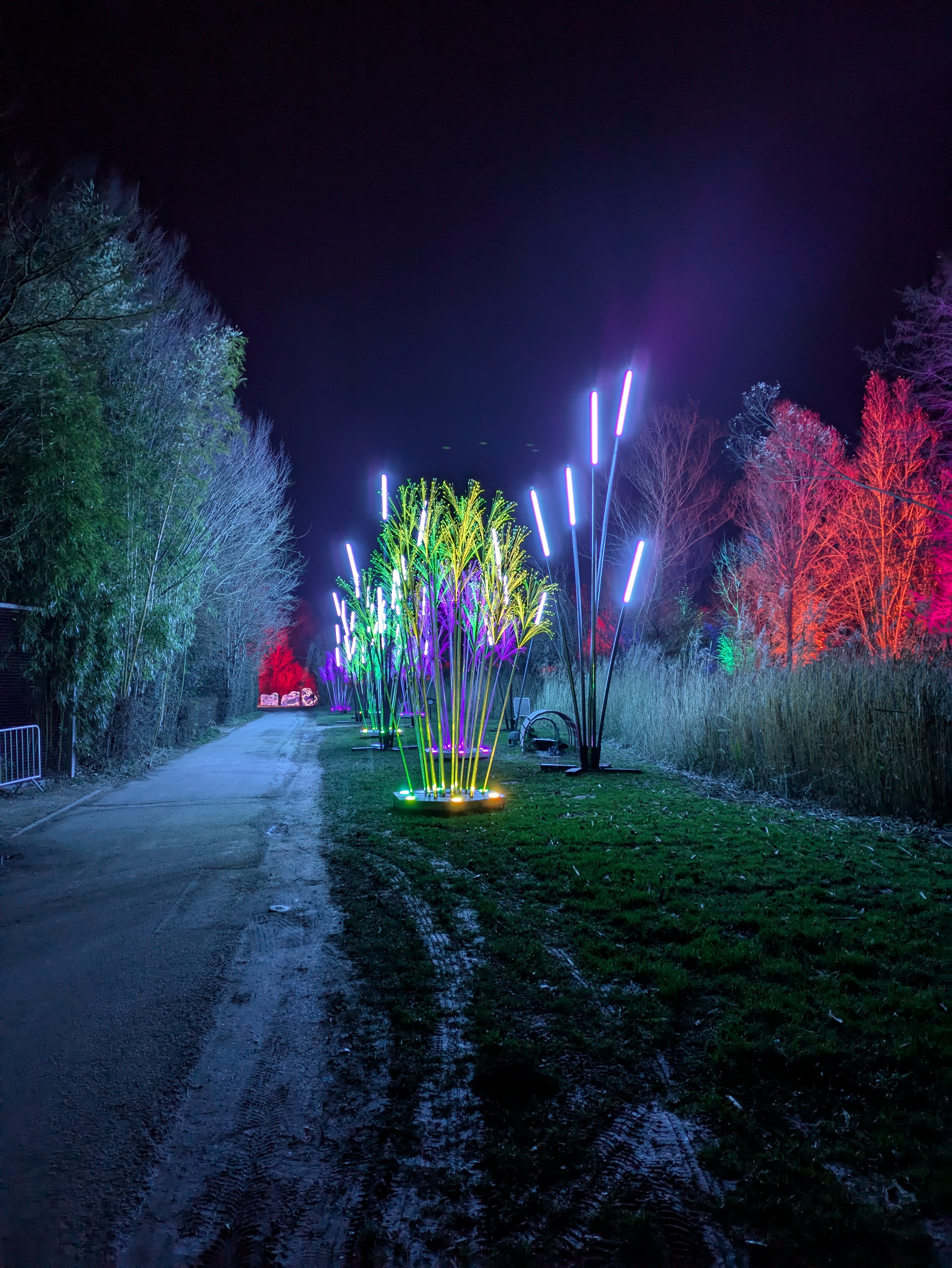 Les Nuits du Parc_Villars-les-Dombes