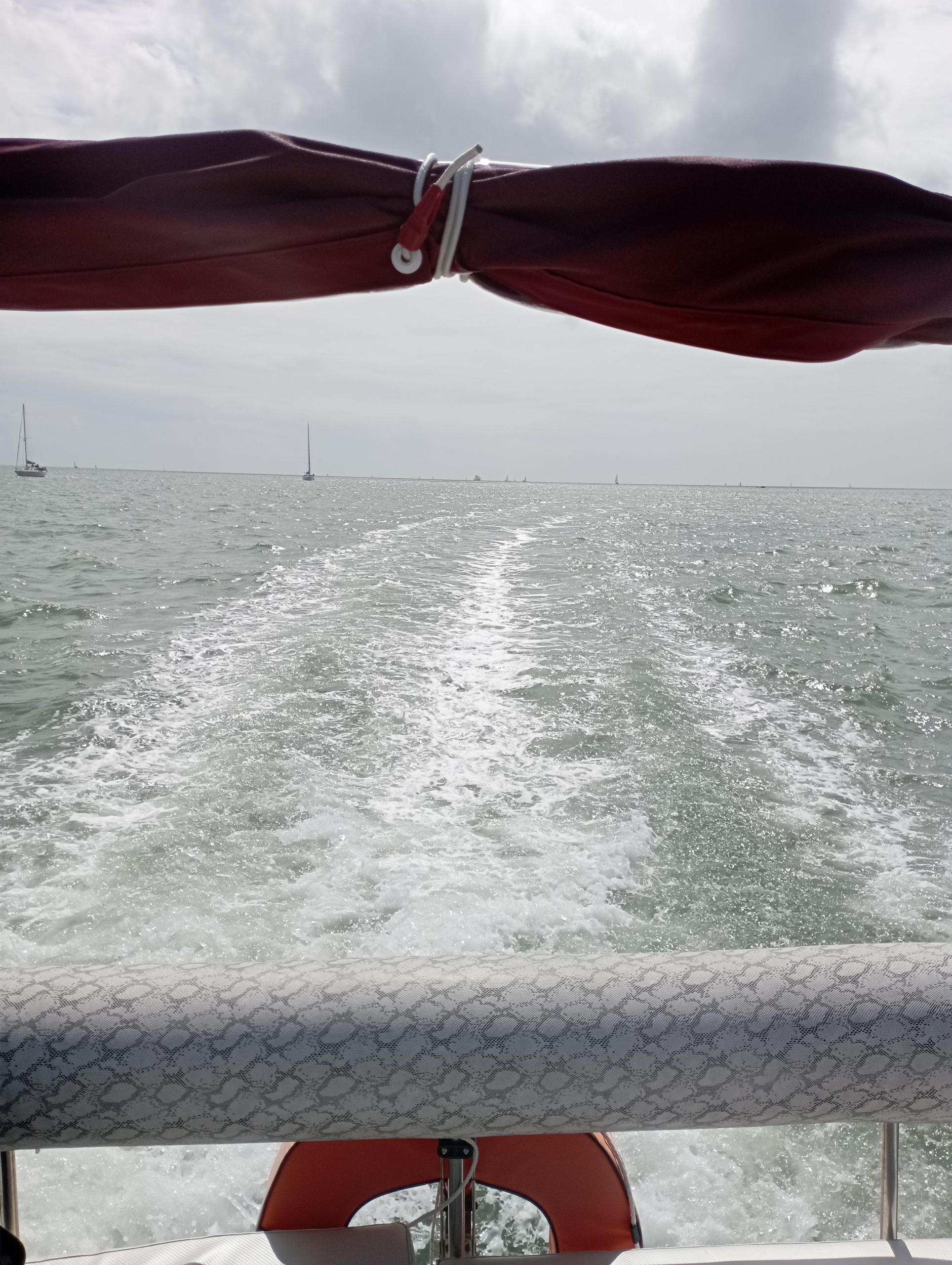 Sortie demi-journée en catamaran - Ocean Cruise