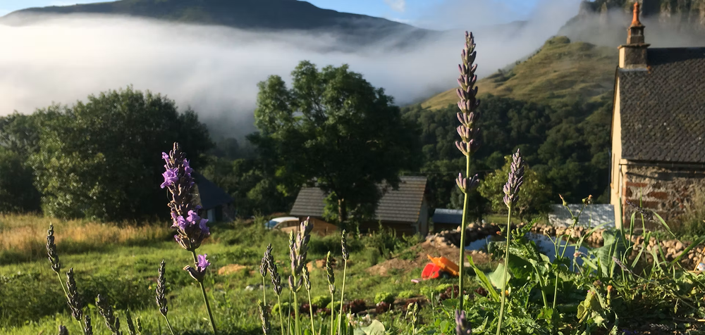 Atelier Beurre à la ferme