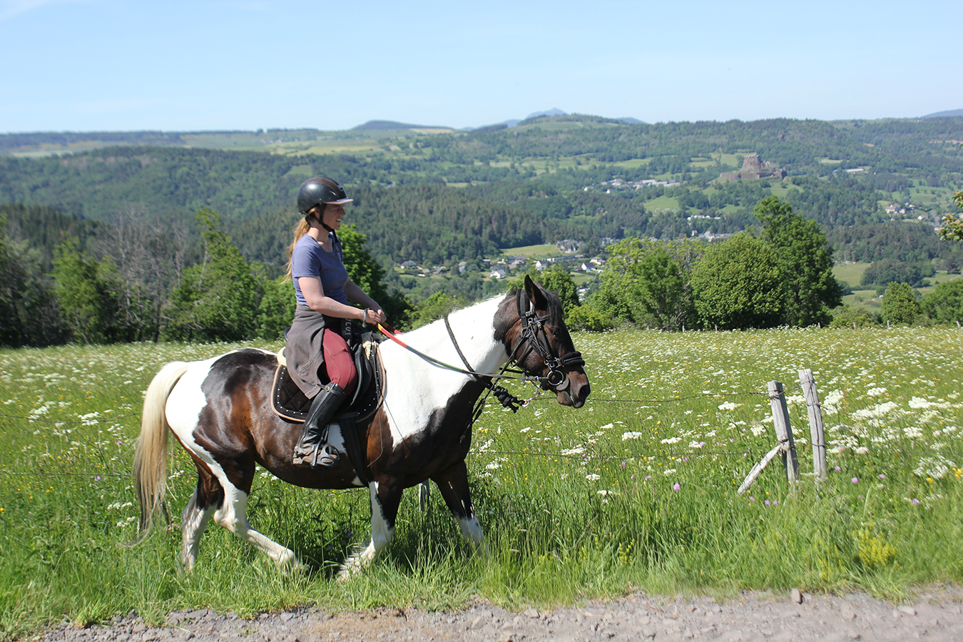 Activit s Des Galopins Du Sancy Domaine questre De Berthaire 